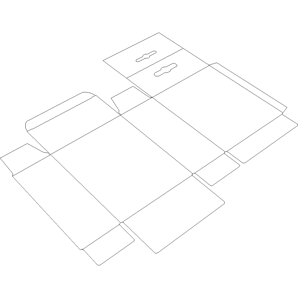 Graphic of unfolded custom-made package